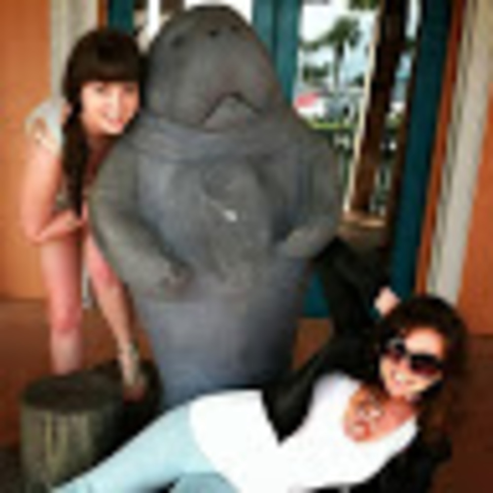 Meet your Posher, Caitlin